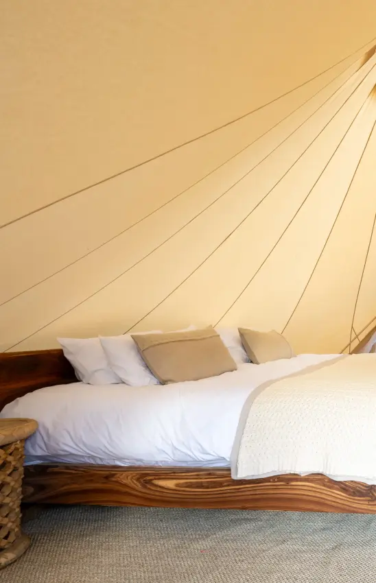 Canvas bell tent interior with wooden bed and layered bedding, Onguma Trails Camp, Etosha National Park, Namibia