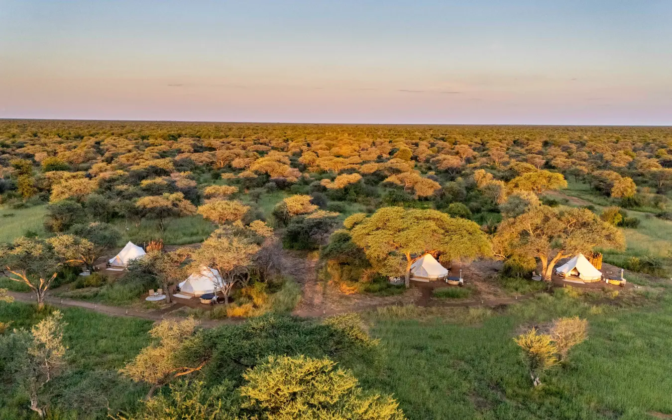Luxury safari camp with canvas tents nestled among acacia trees at dusk, Onguma Trails Camp, Etosha National Park, Namibia