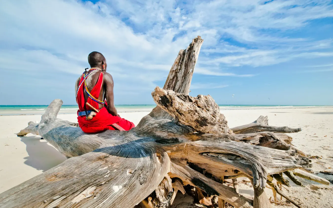 Person in red traditional clothing sitting on driftwood beach