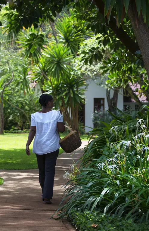 Guest walking on garden path toward colonial building, Plantation Lodge, Ngorongoro Crater, Tanzania