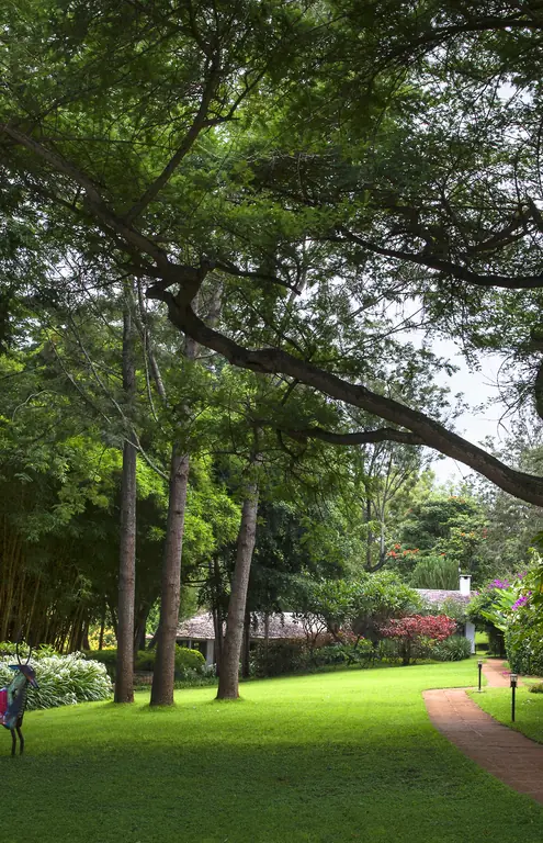 Tree-lined garden path with manicured lawn and visitors, Plantation Lodge, Ngorongoro Crater, Tanzania