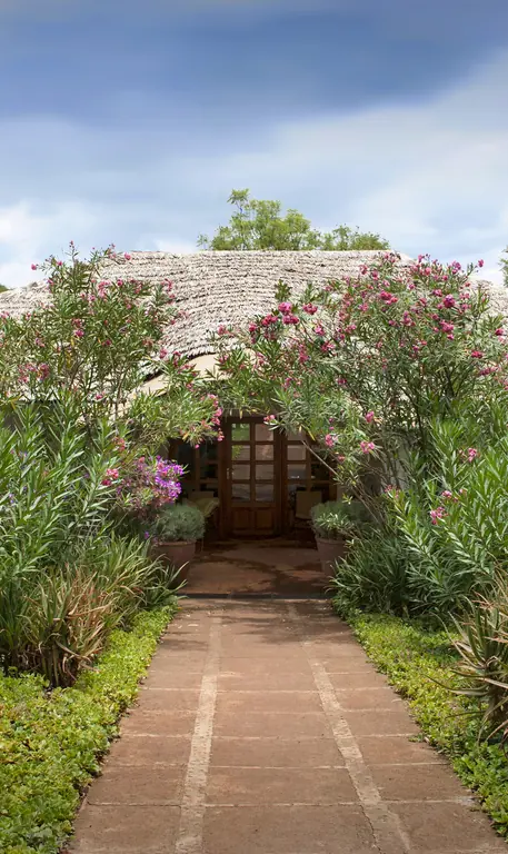 Thatched roof building with flowering plants and manicured gardens, Plantation Lodge, Ngorongoro Crater, Tanzania