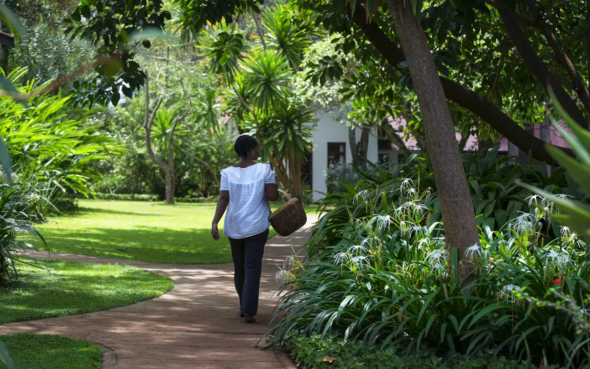 Guest walking on garden path toward colonial building, Plantation Lodge, Ngorongoro Crater, Tanzania
