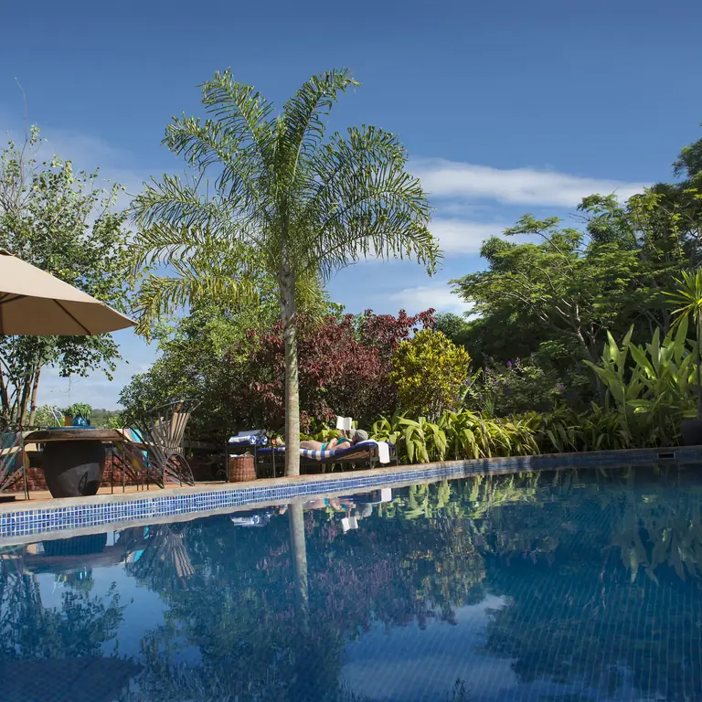 Resort swimming pool with umbrella and tropical gardens, Plantation Lodge, Ngorongoro Crater, Tanzania