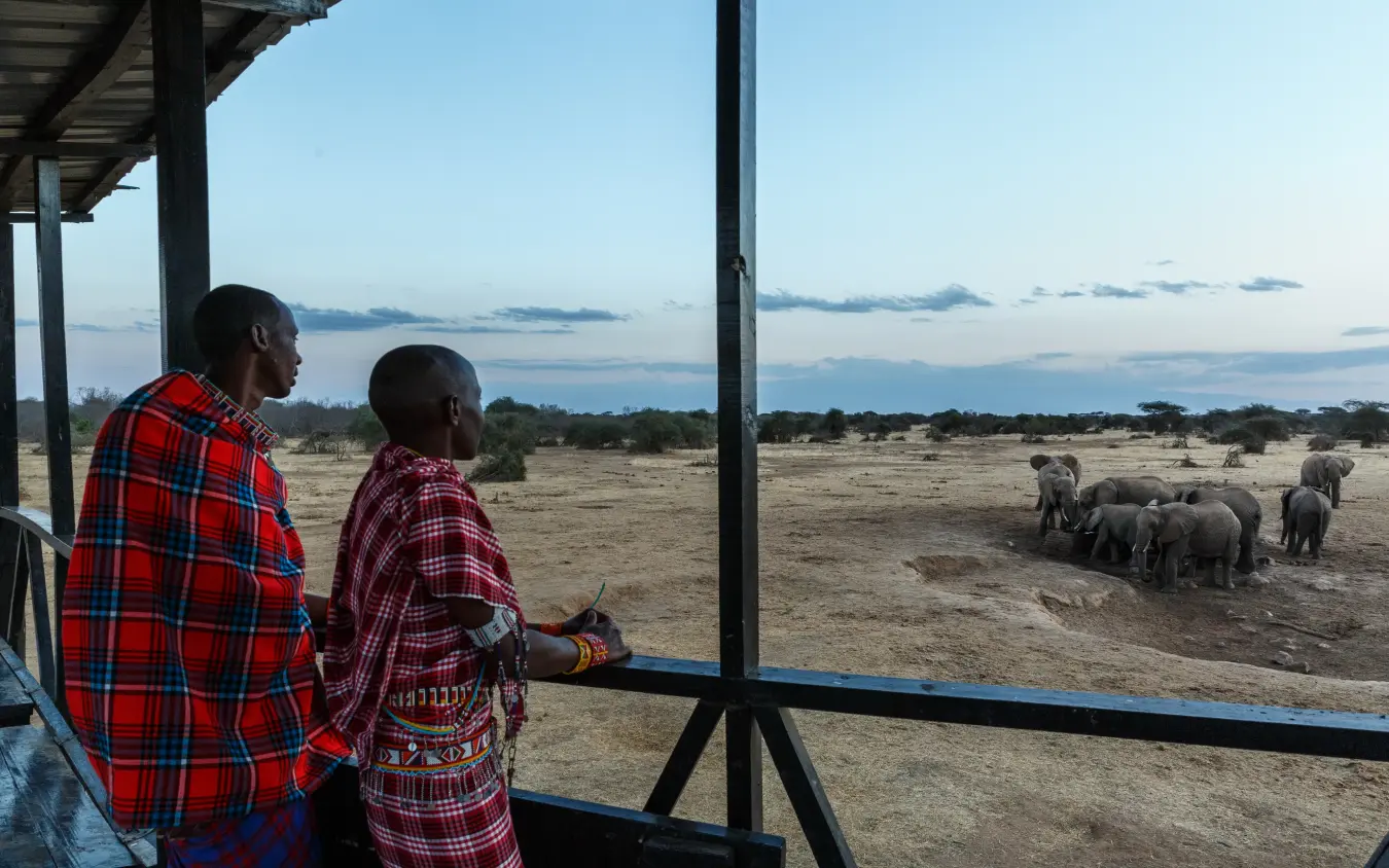 Guests viewing elephants from safari lodge viewing platform at dusk, Porini Amboseli Camp, Amboseli and Chyulu Hills, Kenya
