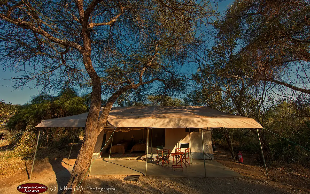 Canvas safari tent beneath acacia trees in natural landscape, Porini Amboseli Camp, Amboseli and Chyulu Hills, Kenya