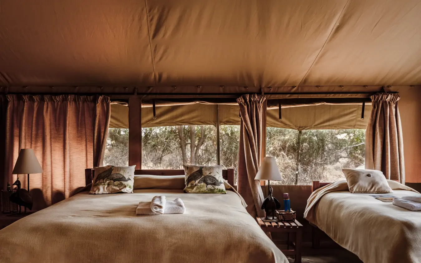 Safari lodge bedroom with large windows overlooking wooded landscape, Porini Amboseli Camp, Amboseli and Chyulu Hills, Kenya