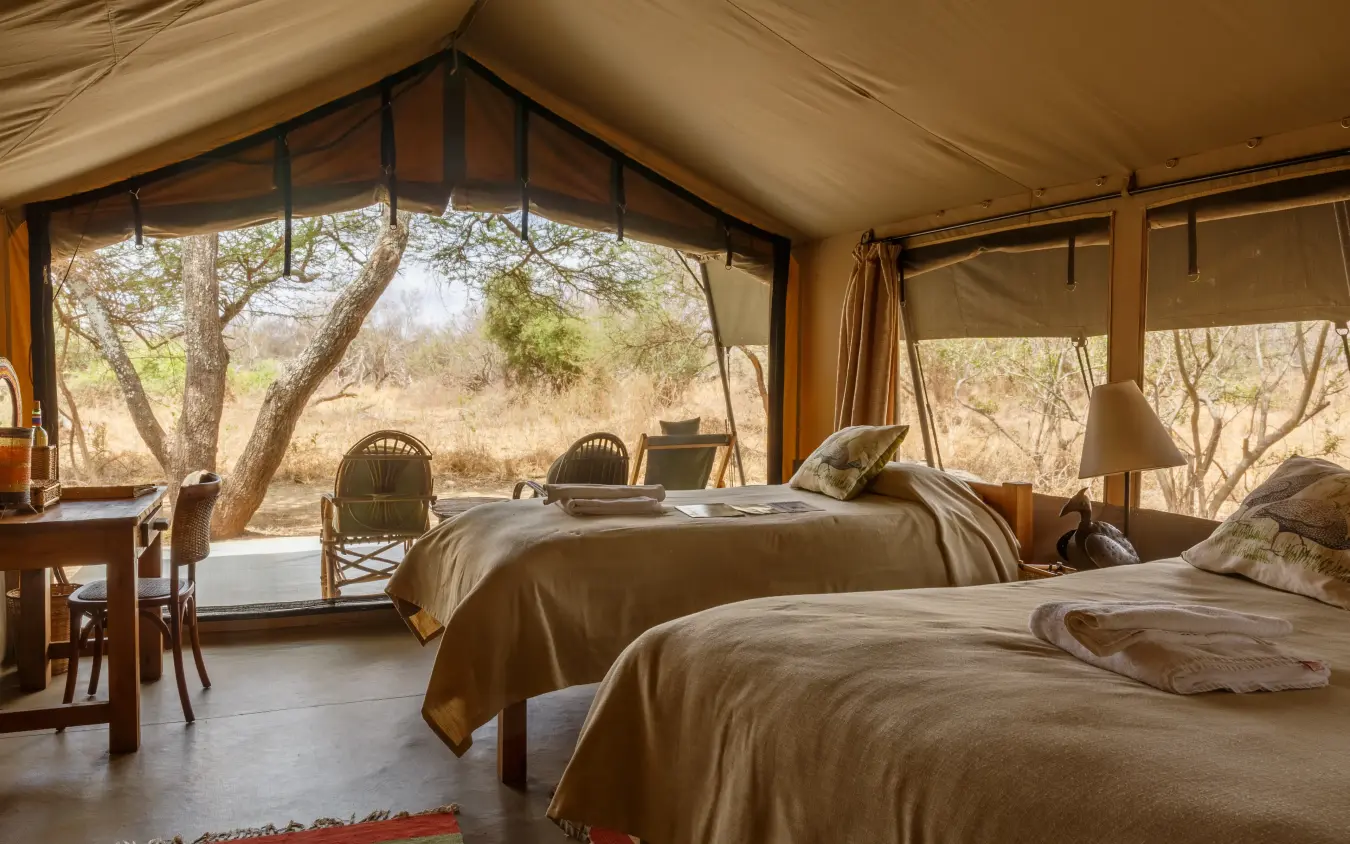 Luxury safari tent interior with multiple beds and expansive canvas windows overlooking woodland, Porini Amboseli Camp, Amboseli and Chyulu Hills, Kenya
