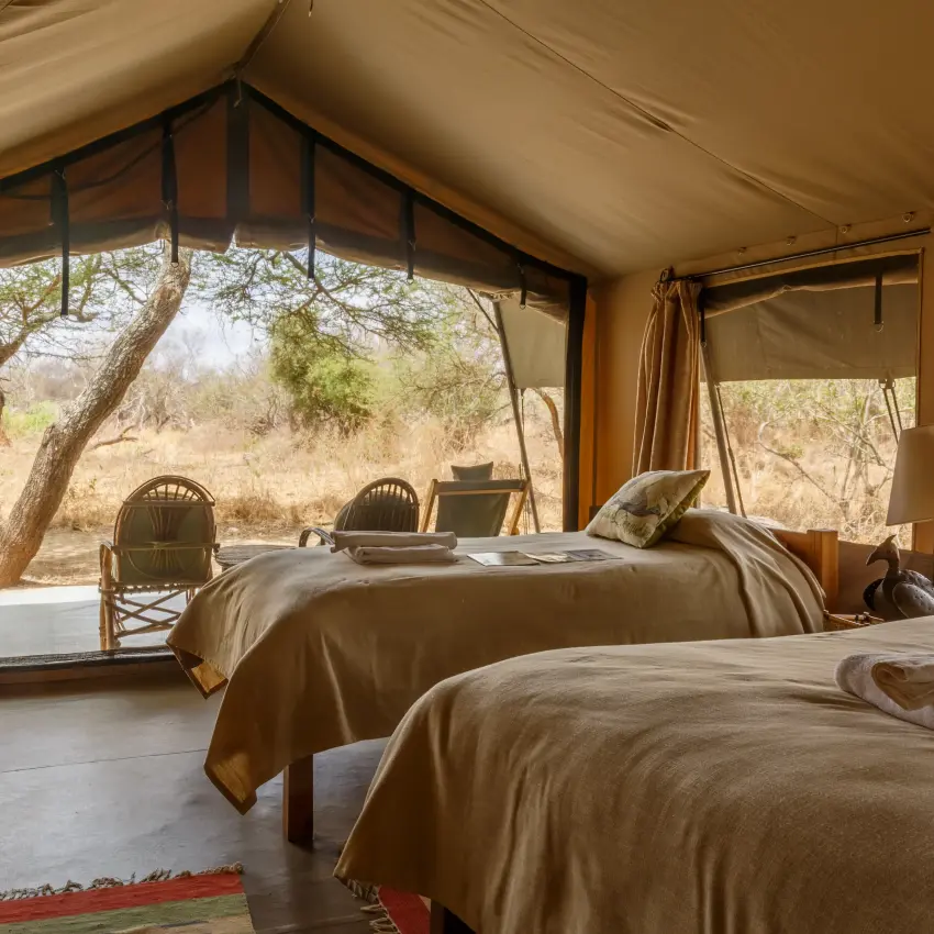 Luxury safari tent interior with multiple beds and expansive canvas windows overlooking woodland, Porini Amboseli Camp, Amboseli and Chyulu Hills, Kenya
