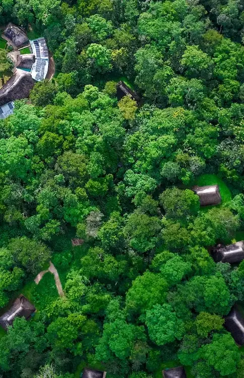 Aerial view of forest lodge with winding pathways through dense trees, Primate Lodge, Kibale Forest, Uganda
