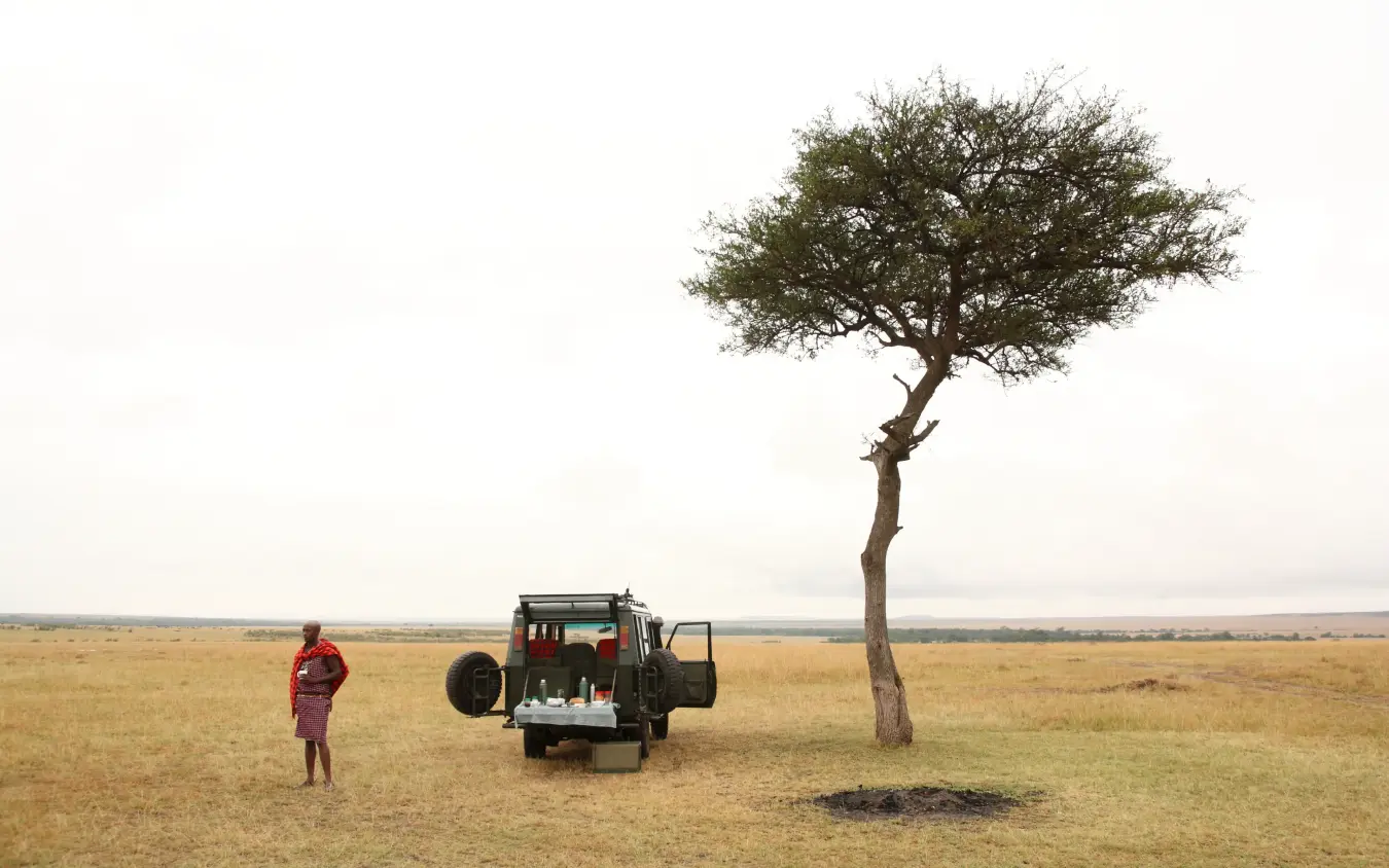 Safari vehicle parked beneath acacia tree in savanna, Rekero Camp, Maasai Mara, Kenya