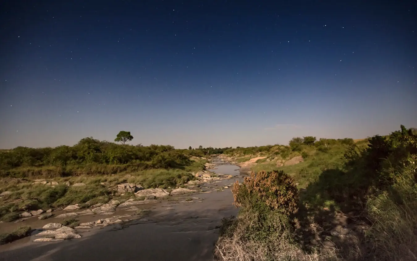 River winding through savanna woodland at dusk with stars, Rekero Camp, Maasai Mara, Kenya