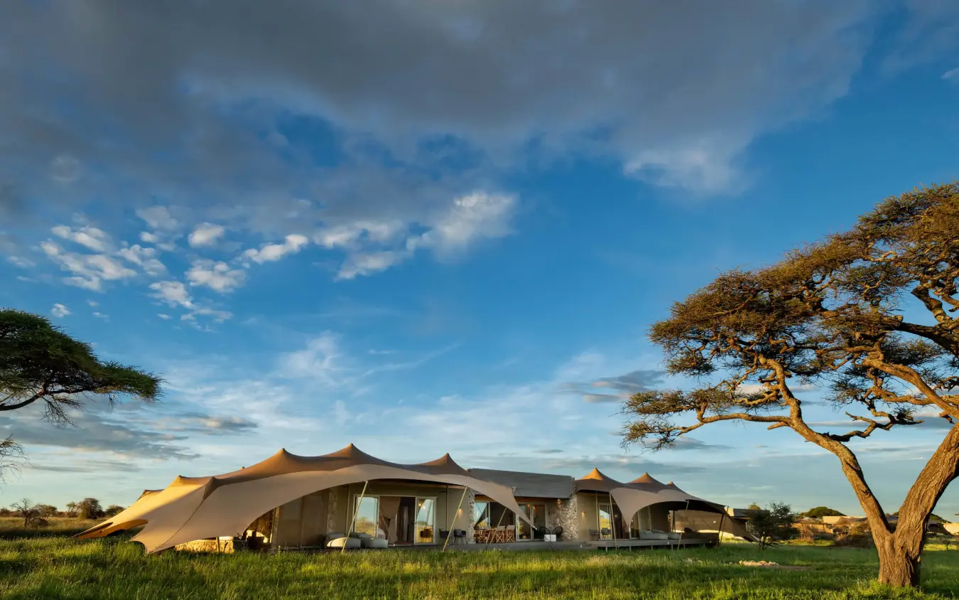 Safari lodge tents beneath acacia trees at golden hour, The Retreats at Namiri Plains, Serengeti National Park, Tanzania