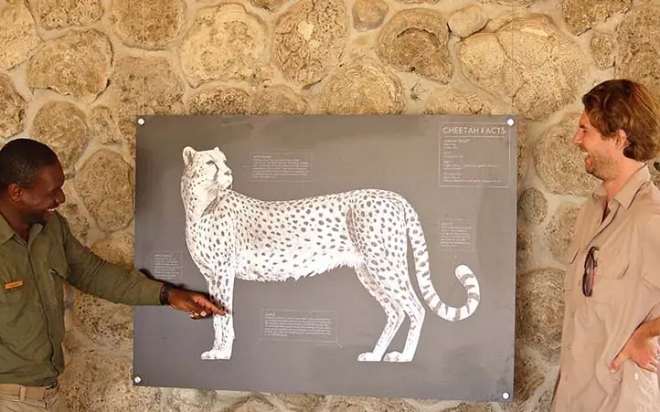 Educational display about cheetah facts and anatomy on stone wall, The Retreats at Namiri Plains, Serengeti National Park, Tanzania