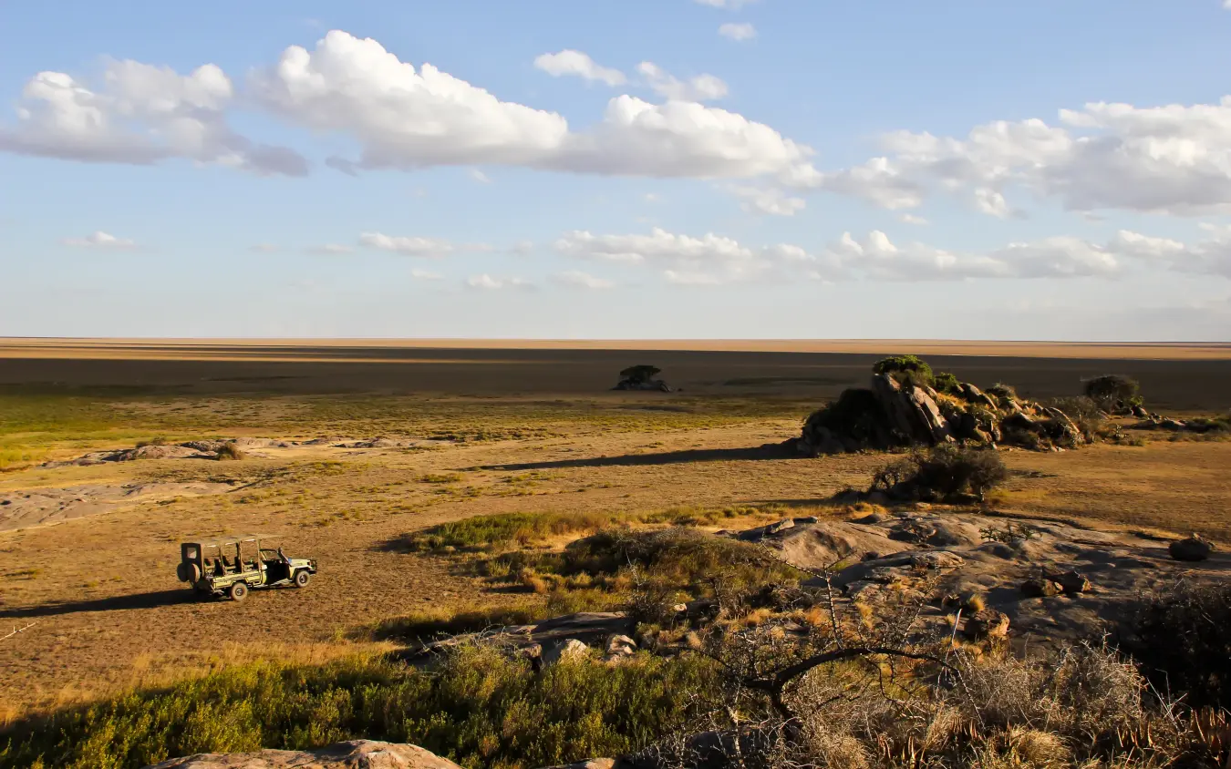 Vast savanna plain with rocky outcrops and distant wildlife, The Retreats at Namiri Plains, Serengeti National Park, Tanzania