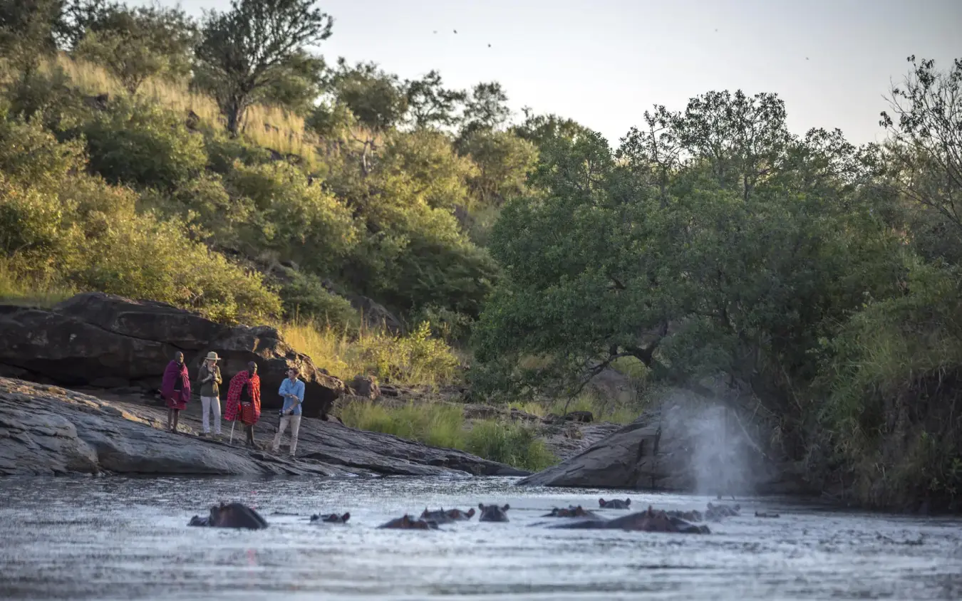 Guests viewing hippos from riverbank at sunset, Richard’s River Camp, Maasai Mara, Kenya