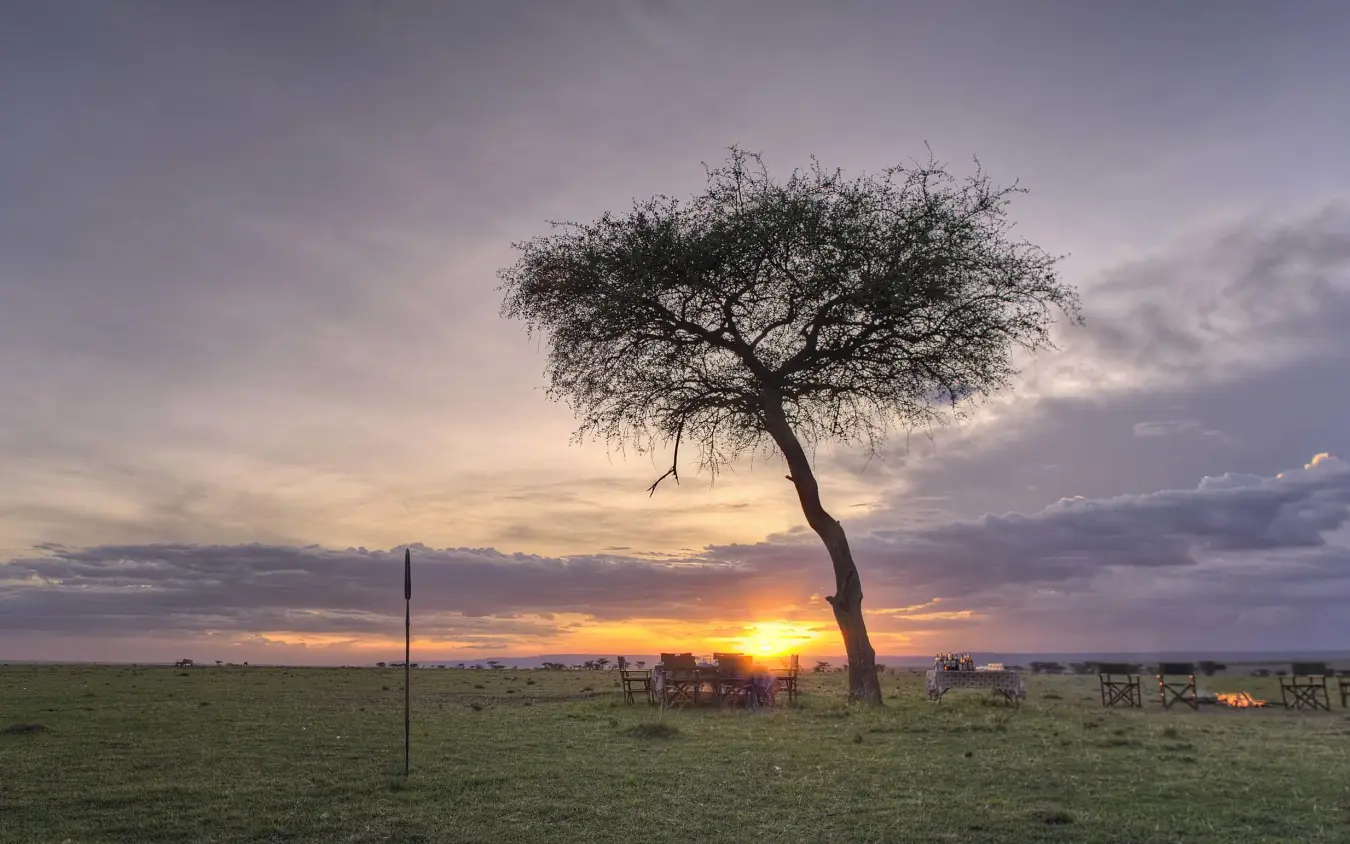 Acacia tree at sunset with safari camp setup below, Richard’s River Camp, Maasai Mara, Kenya