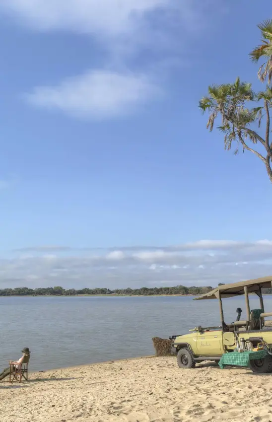 Safari vehicle on beach with guests and palm trees, Nyerere National Park, Tanzania