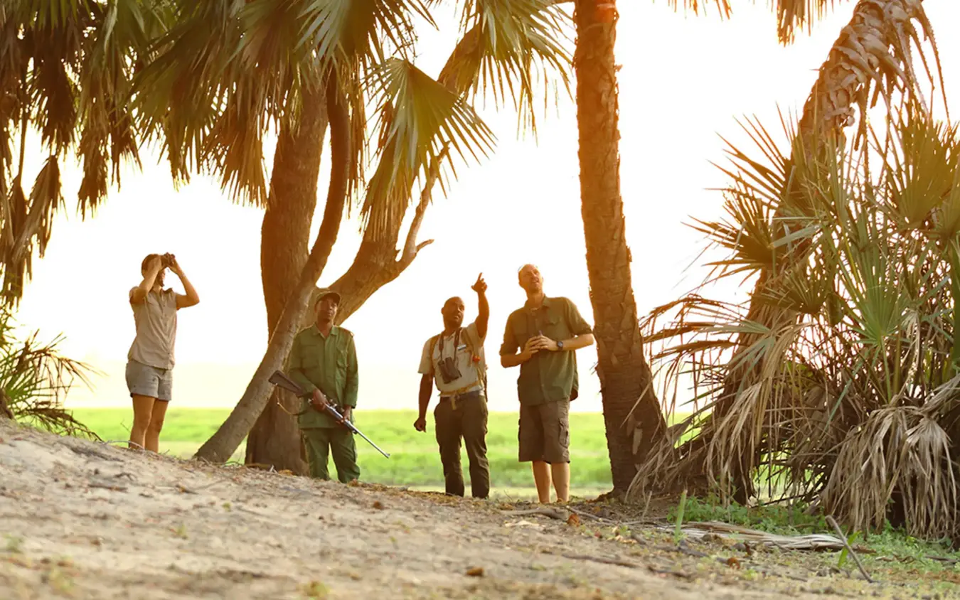 Group of guides walking together near palm trees, Roho ya Selous, Nyerere National Park, Tanzania