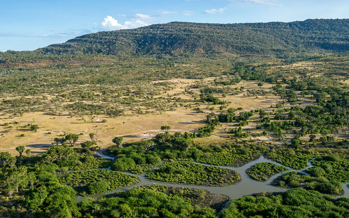 Aerial view of winding river through forested savanna valley, Roho ya Selous, Nyerere National Park, Tanzania