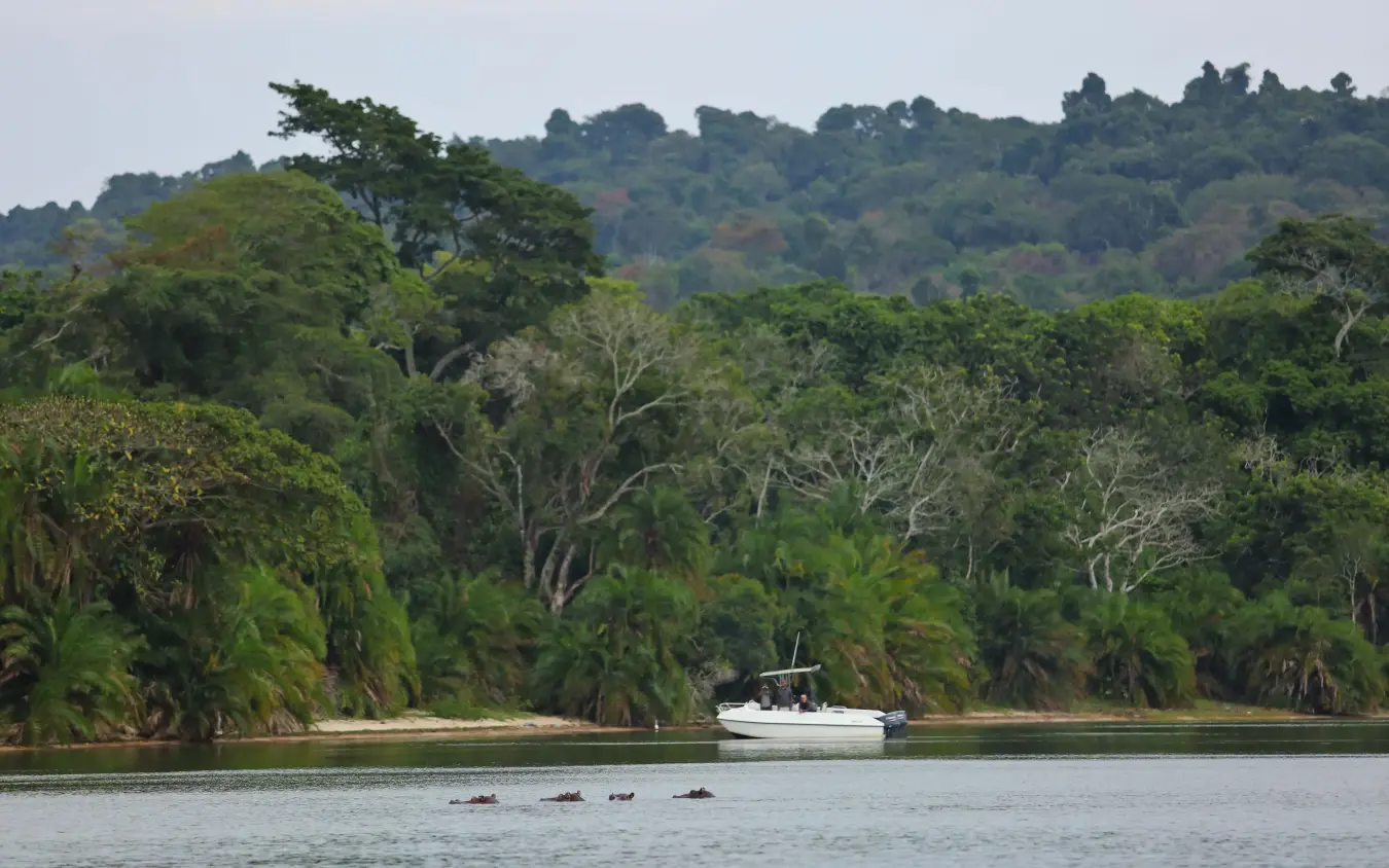 Boat anchored offshore with dense forest and hippos swimming, Rubondo Island Camp, Rubondo Island, Tanzania