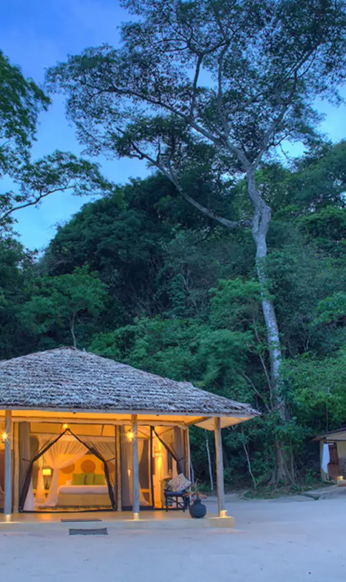 Illuminated safari lodge pavilion surrounded by dense forest at dusk, Rubondo Island Camp, Rubondo Island, Tanzania