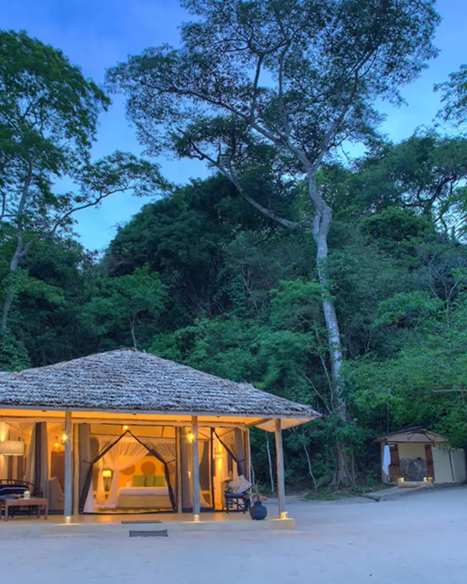 Illuminated safari lodge pavilion surrounded by dense forest at dusk, Rubondo Island, Tanzania