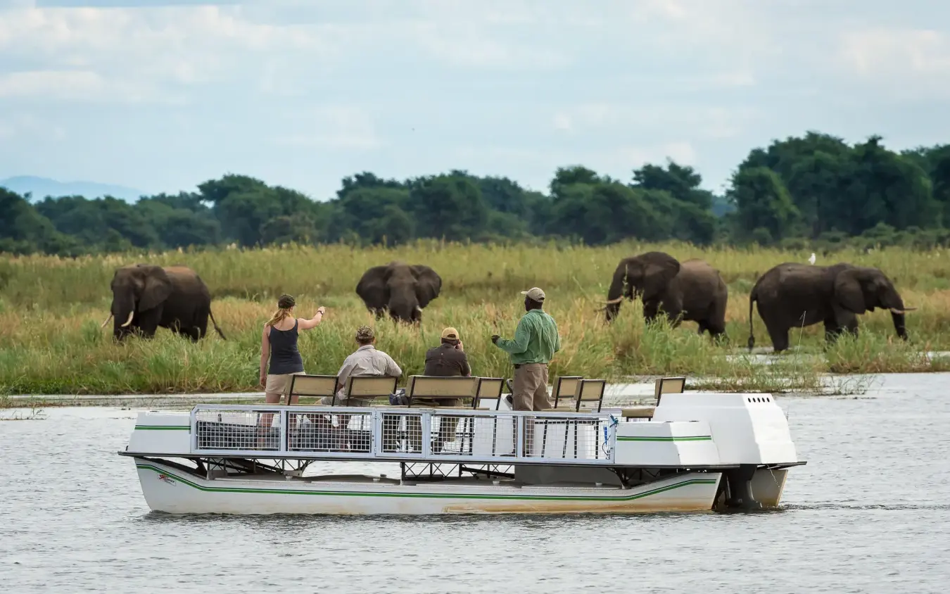Guests on boat viewing elephants in savanna landscape, Ruckomechi Camp, Mana Pools, Zimbabwe