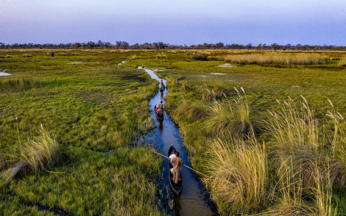 Guests poling traditional mokoro boat through wetland waterway, Sable Alley, The Okavango Delta, Botswana