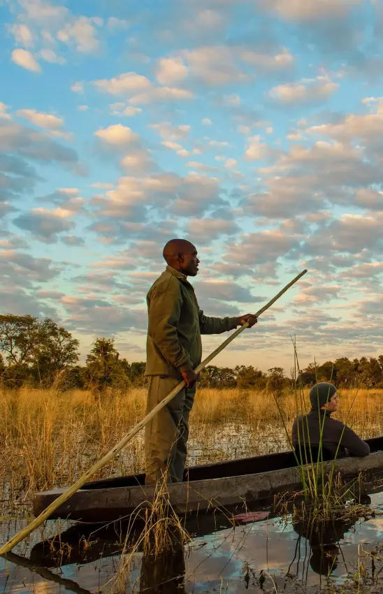 Guide poling traditional mokoro boat through wetland, Sable Alley, The Okavango Delta, Botswana