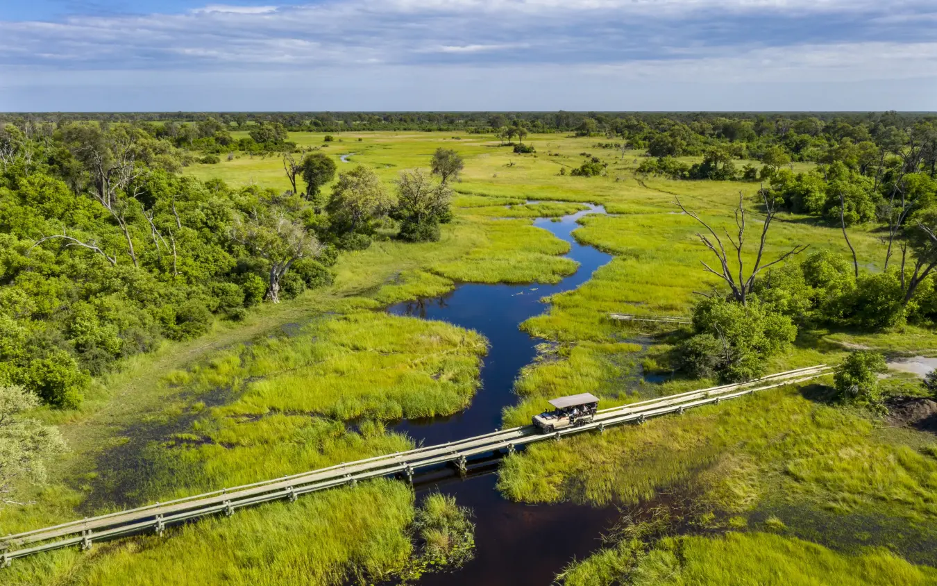 Aerial view of winding river through green wetlands and sparse trees, Sable Alley, The Okavango Delta, Botswana