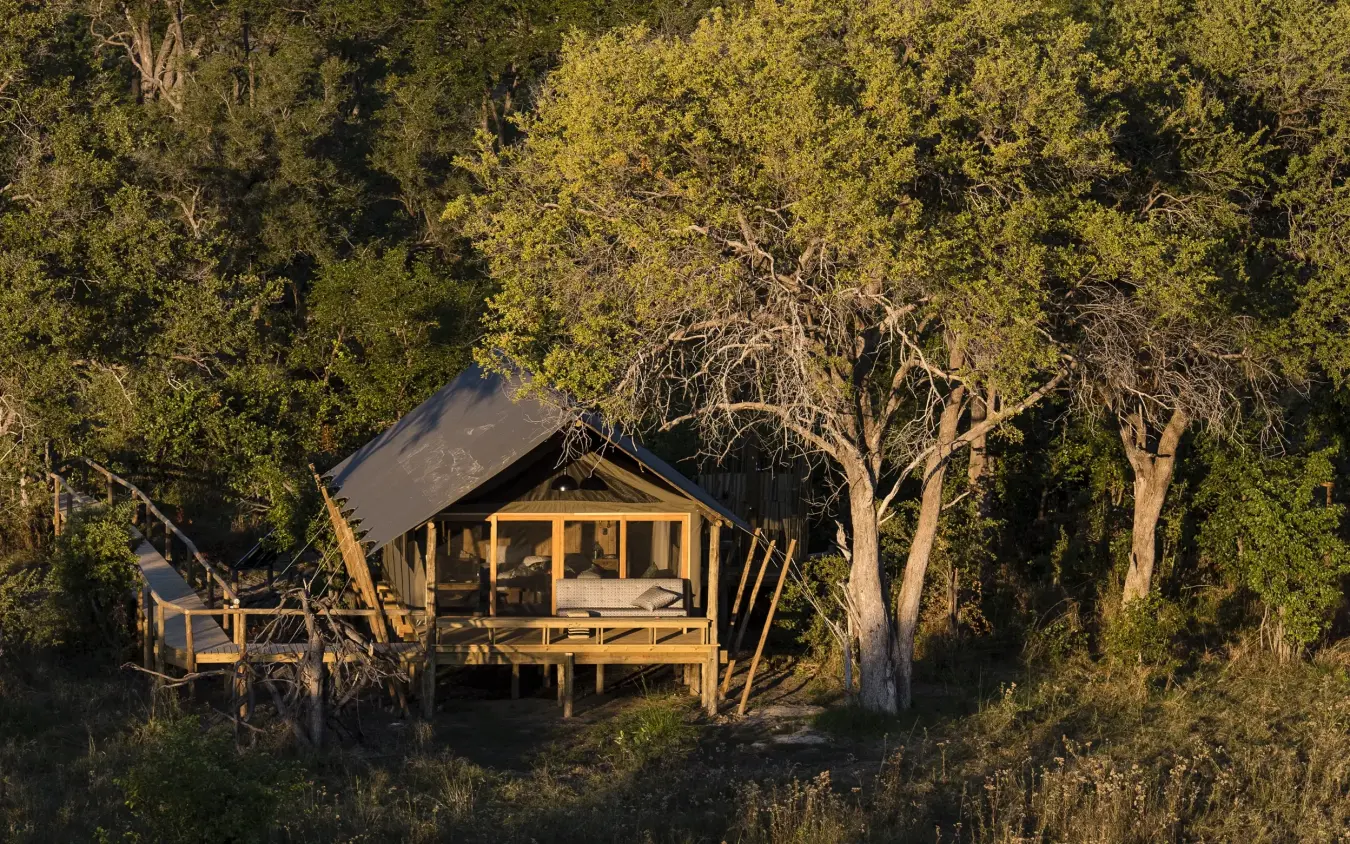Elevated canvas safari tent nestled among tall trees, Sable Alley, The Okavango Delta, Botswana