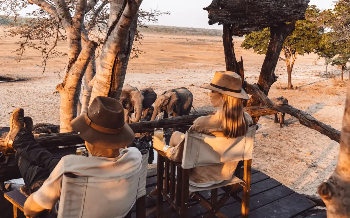 Guests observing elephants from safari camp seating under acacia trees, Sable Valley Lodge, Hwange National Park, Zimbabwe