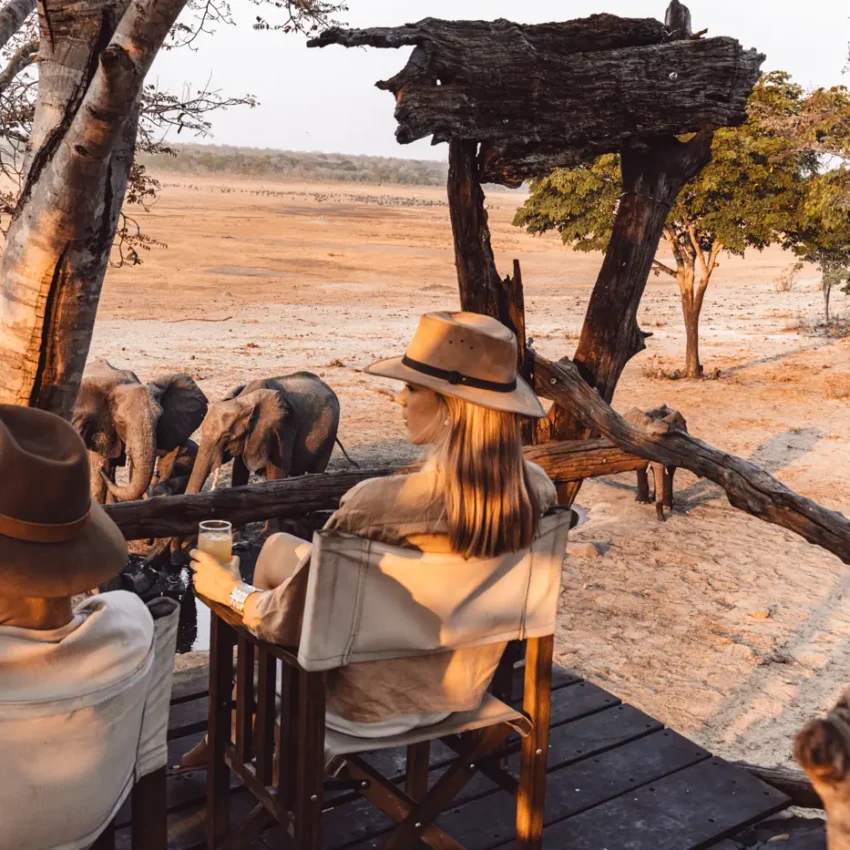 Guests observing elephants from safari camp seating under acacia trees, Sable Valley Lodge, Hwange National Park, Zimbabwe