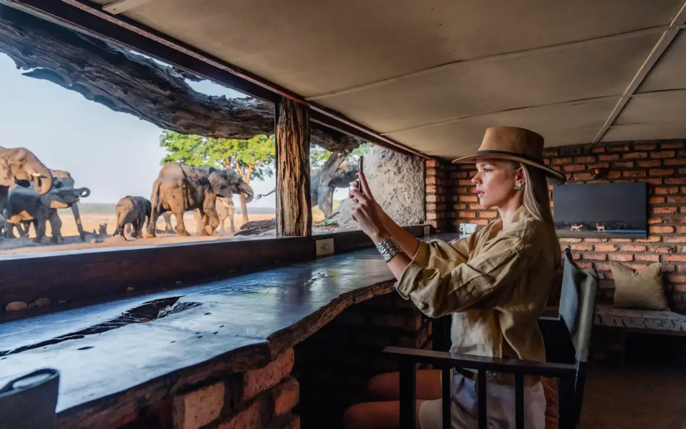 Safari lodge viewing platform with elephants at waterhole through window, Sable Valley Lodge, Hwange National Park, Zimbabwe