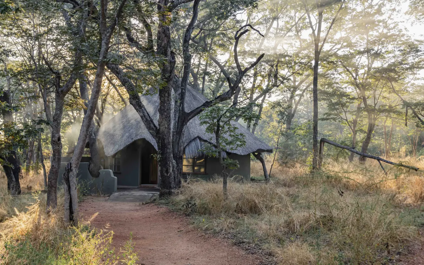 Thatched-roof lodge nestled among trees in woodland savanna setting, Sable Valley Lodge, Hwange National Park, Zimbabwe