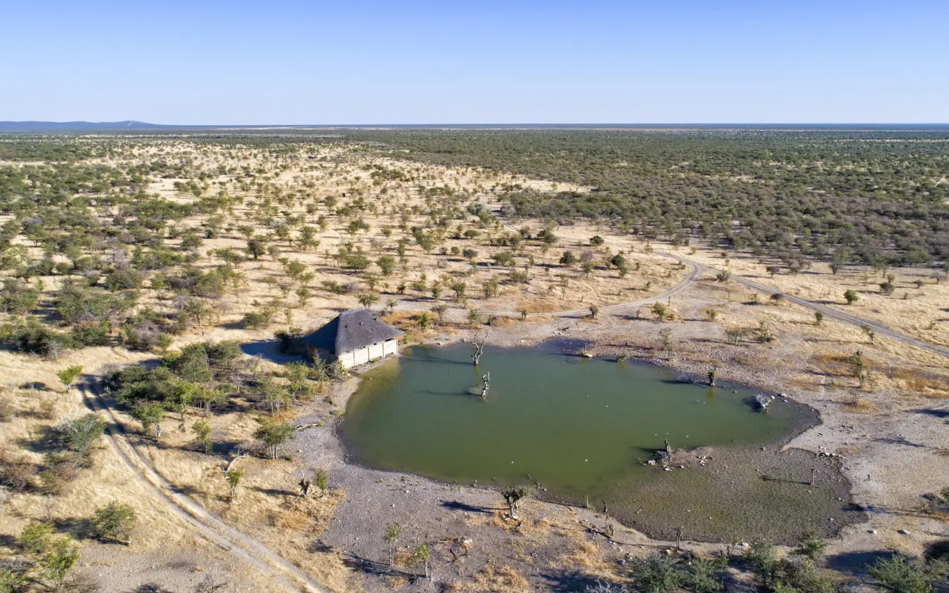Aerial view of waterhole with scattered trees and wildlife, Safari House, Etosha National Park, Namibia