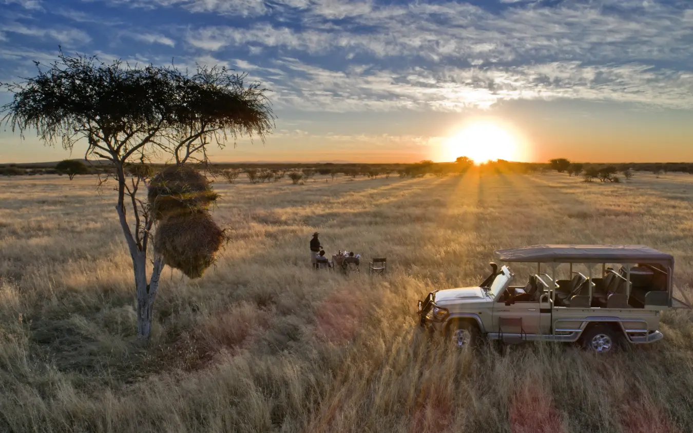 Safari vehicle with guests watching sunset over golden grassland savanna, Safarihoek Lodge, Etosha National Park, Namibia