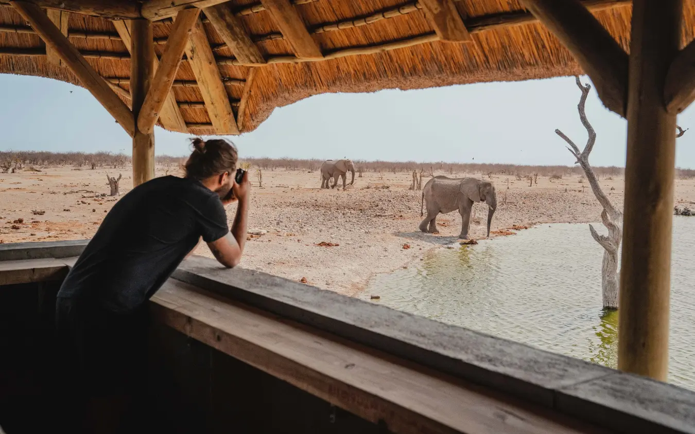Photographer capturing elephants at waterhole from observation hide, Safarihoek Lodge, Etosha National Park, Namibia