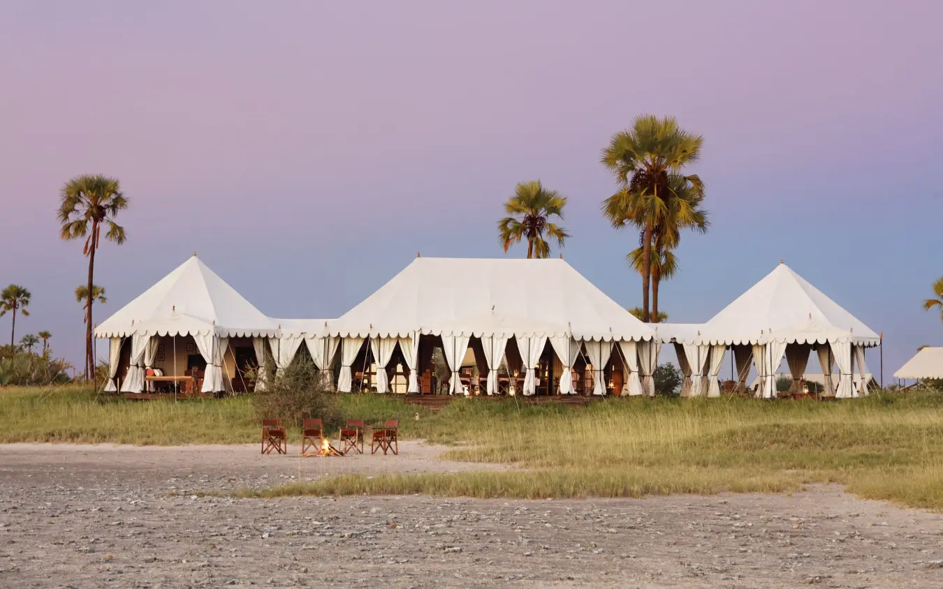 White canvas tents with palm trees at sunset, San Camp, Makgadikgadi Pans, Botswana
