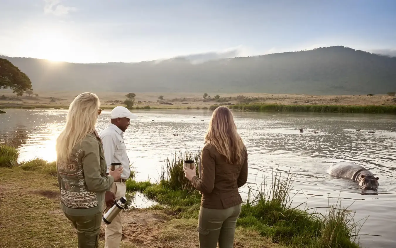 Guests observing wildlife at waterhole during morning game viewing, Sanctuary Crater Camp, Ngorongoro Crater, Tanzania