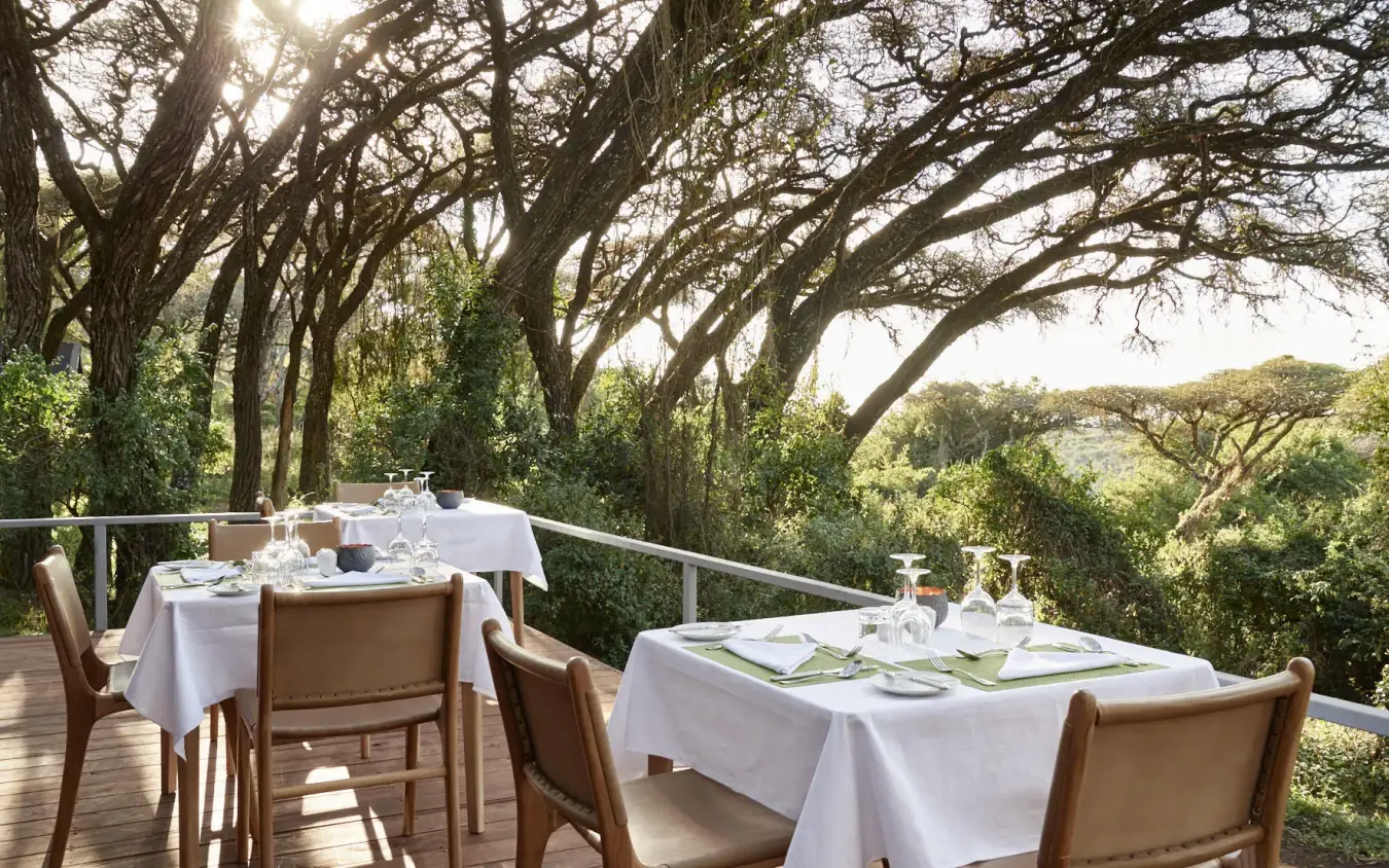 Outdoor dining tables set on wooden deck beneath ancient trees, Sanctuary Crater Camp, Ngorongoro Crater, Tanzania
