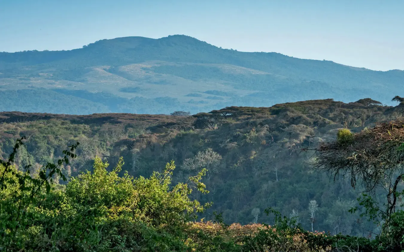 Volcanic crater landscape with forested slopes and distant mountain, Sanctuary Crater Camp, Ngorongoro Crater, Tanzania
