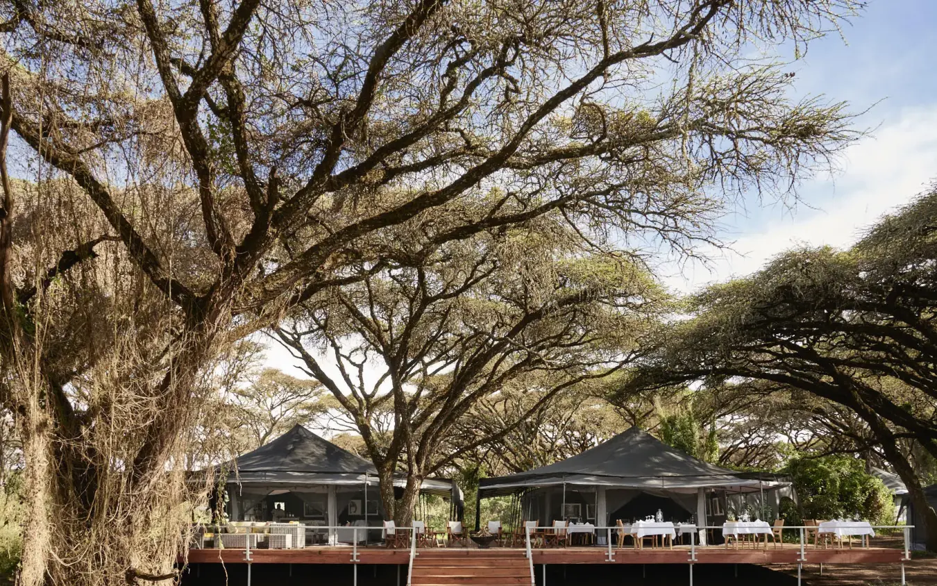 Black canvas dining pavilions beneath sprawling acacia trees, Sanctuary Crater Camp, Ngorongoro Crater, Tanzania