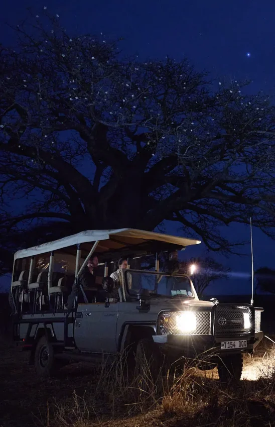 Night safari game drive vehicle with illuminated headlights under starry sky, Swala, Tarangire National Park, Tanzania