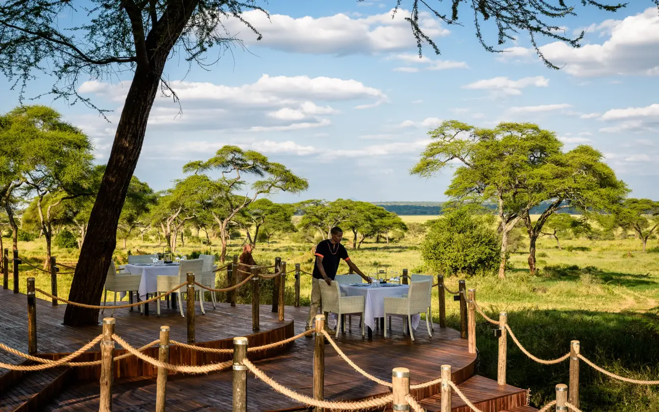 Staff setting outdoor dining table on wooden deck overlooking acacia woodland, Swala, Tarangire National Park, Tanzania