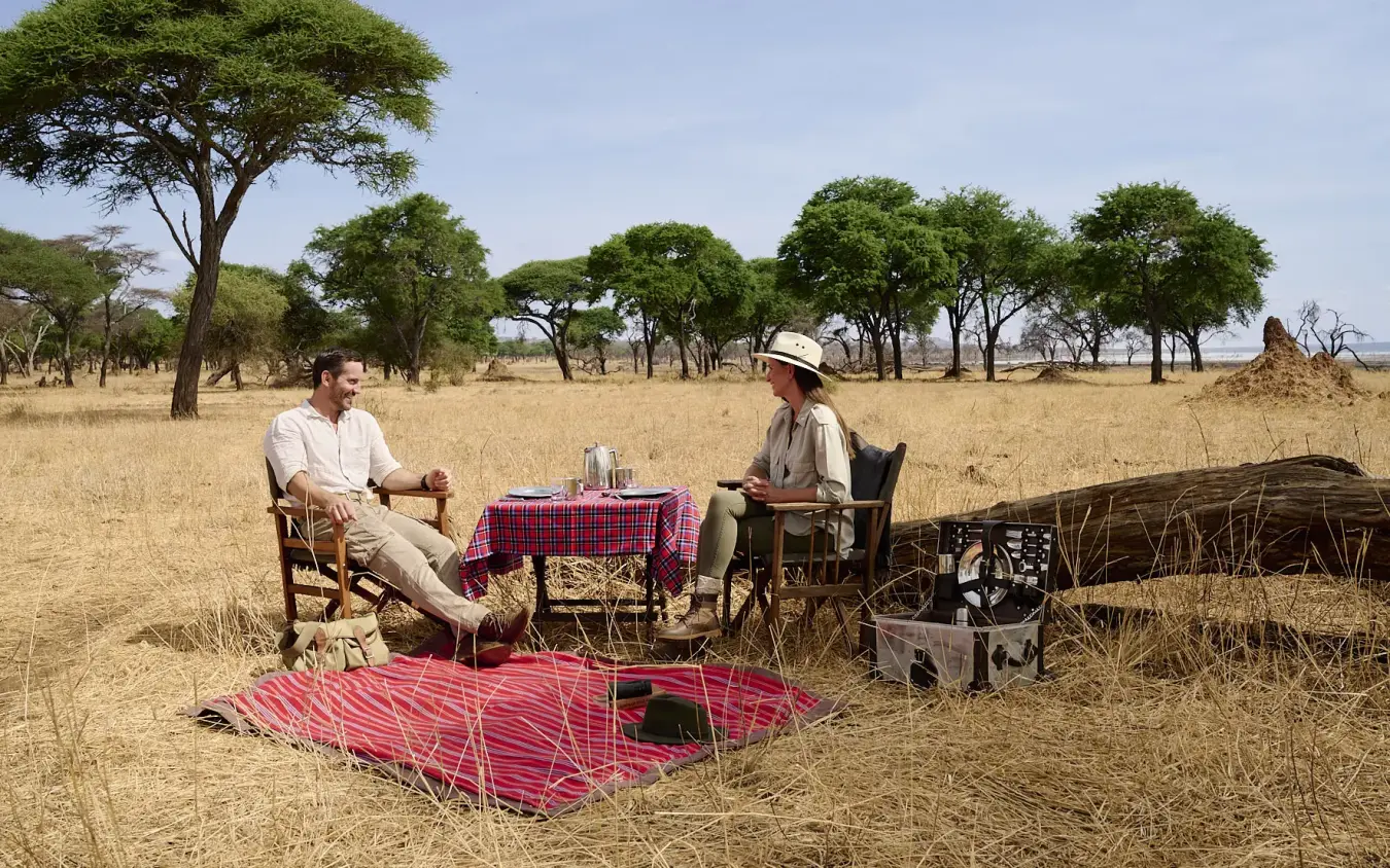 Couple dining at table in savanna grassland with acacia trees, Swala, Tarangire National Park, Tanzania