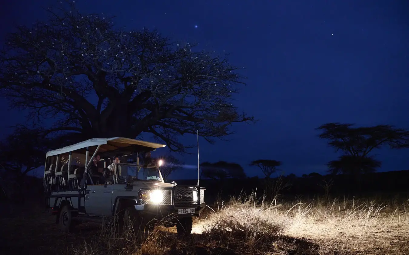 Night game drive with safari vehicle illuminating wildlife in savanna grassland, Swala, Tarangire National Park, Tanzania