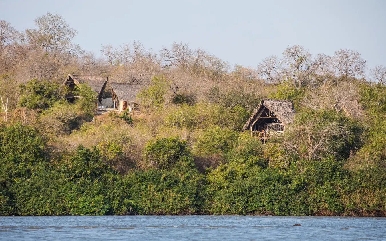 Thatched lodge structures nestled in riverine woodland viewed from water, Sand Rivers, Nyerere National Park, Tanzania