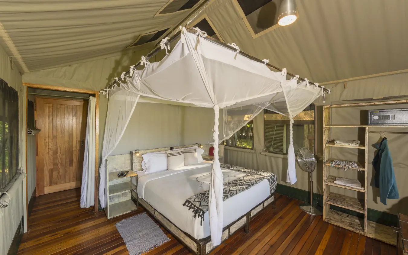 Four-poster bed with white drapes in luxury safari tent bedroom, Sango Expedition Camp, Gonarezhou & Malilangwe, Zimbabwe